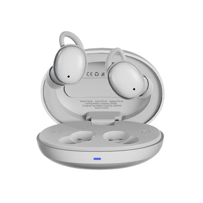 DreamBuds ANC Sleep Earbuds