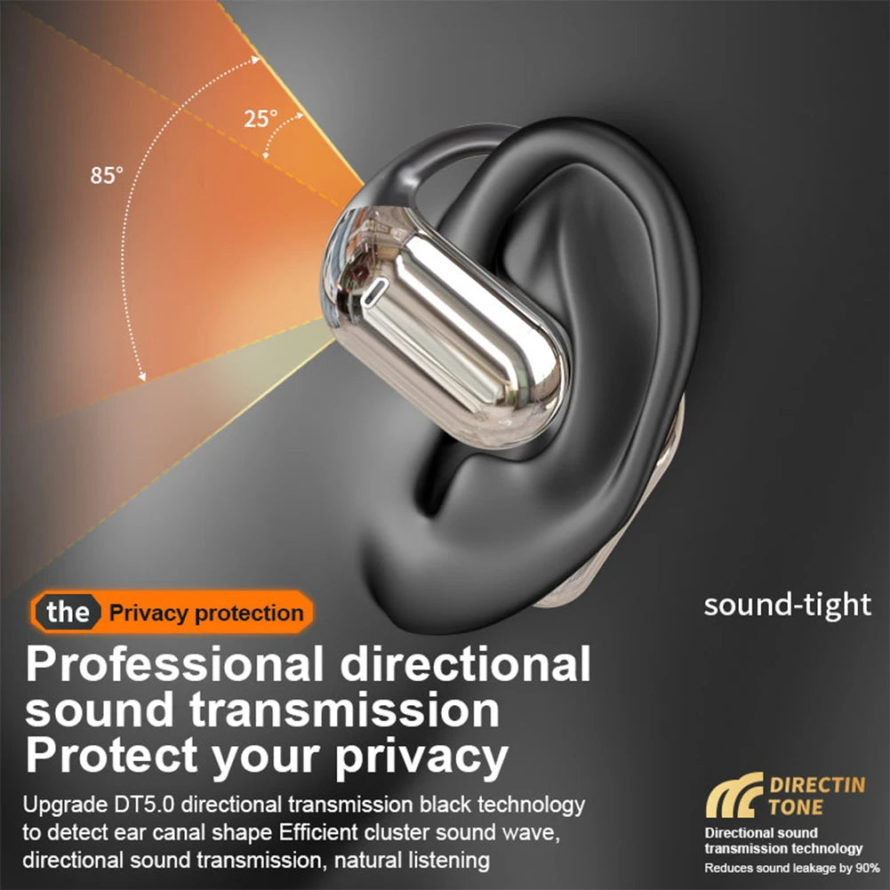 Wireless BT AI Translation Earbuds