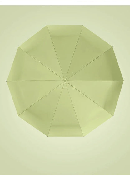 StormClip Reverse Folding Umbrella